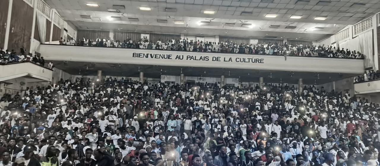 2DS — Palais de la Culture — photo de concert