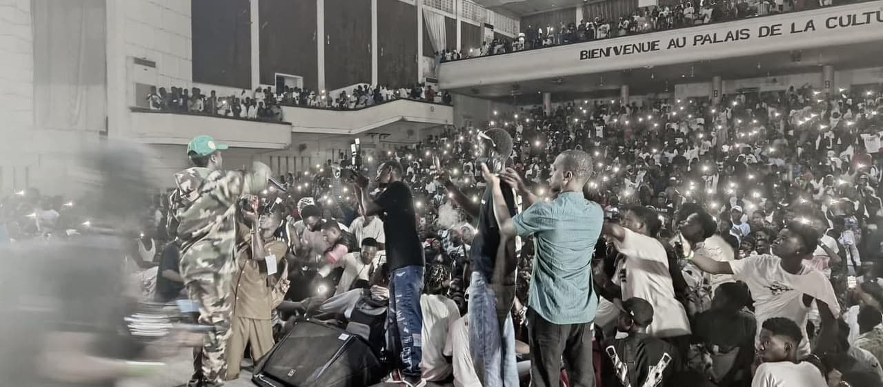 2DS — Palais de la Culture — photo de concert